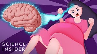 How Giving Birth Changes Your Brain [upl. by Ancalin]