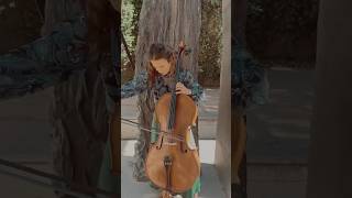 Albinoni Adagio in G minor  cello [upl. by Sydney]