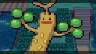 How amp Where to catchget  Sudowoodo Swarm in Pokemon Black 2 [upl. by Akinaj593]