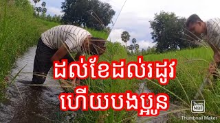 ដល់ខែដល់រដូវហើយបងប្អូន [upl. by Neelia]