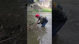 DAMBULANG KARPA NAKAWALA PA fishing bigcarpfish carpfish fish amazing [upl. by Dirtsa]