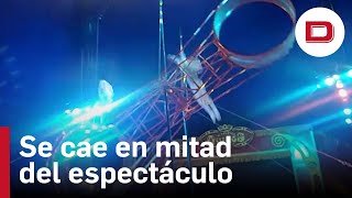 Un trapecista del Circo Quiros cae desde una altura de 7 metros en mitad del espectáculo [upl. by Onin965]