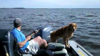 Minnesota Walleye Fishing  Lake of the Woods Fishing Report Video 71111 [upl. by Suoivatra815]