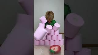 sushininja funny video24114watermelonfunnycoladogcat [upl. by Koffler]