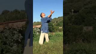 Taiji QiGong Shibashi Movement 4 Circling Arms Separate the Clouds shibashi taijiqigong [upl. by Tichon227]