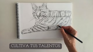 🎨🎼✨CULTIVA tus TALENTOS ✨✒️🖼️ talentos propósito creatividad vidaconsciente dones [upl. by Gomar549]