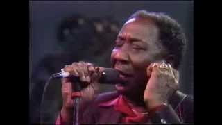 Muddy Waters  The Living Legends of Blues [upl. by Alin]