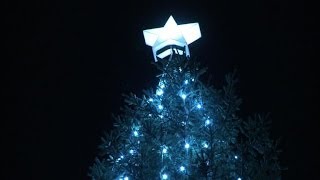 Londons Trafalgar Square Christmas tree lights up [upl. by Orazio]