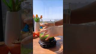 Amazing aquarium fishbowlsetup fishaquarium fishing aquariam fishtank fishbowl fishing [upl. by Gold]