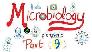 Microbiology Gram   Campylobacter jejuni Vibrio cholera Ecoli Klebsiella  Picmonic Part 9 [upl. by Neva]