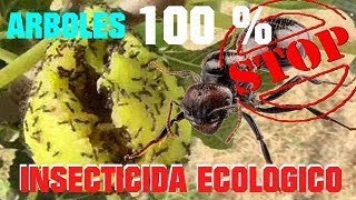 ELIMINAR HORMIGAS EN 1 DIA ECOLOGICAMENTE SIN PESTICIDAS DE ARBOLES  VIVIR EN EL CAMPO [upl. by Perri]