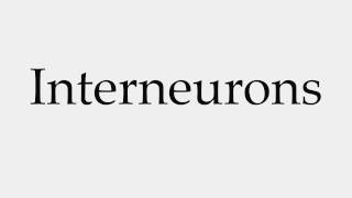 How to Pronounce Interneurons [upl. by Biddick]