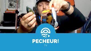 Quels leurres pour pêcher le brochet en étang et rivière  La box idéale [upl. by Asoramla930]