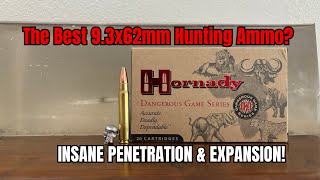 93x62mm Gel Test Surprising Results From Hornadys 93x62mm 286gr InterLock Load [upl. by Hadsall]