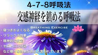 【呼吸法５分】478 呼吸法｜交感神経を落ち着かせるための呼吸法｜1分で眠くなる [upl. by Namreg]