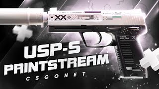 Обзор USPS  Printstream Поток информации  CSGO [upl. by Werdma]