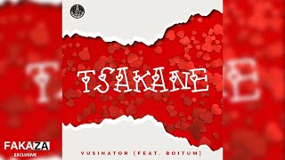 Vusinator  Tsakane feat BoituM [upl. by Earaj]