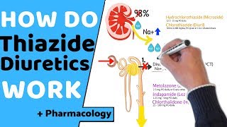 How do Thiazide Diuretics Work  Pharmacology [upl. by Nnagrom]