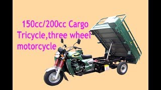 motorcycle Cargo Tricycle three wheel 150cc200cc [upl. by Hose]