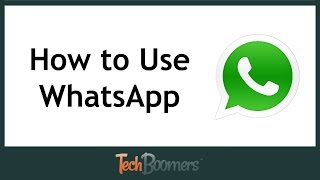 How to Use WhatsApp [upl. by Oesile338]