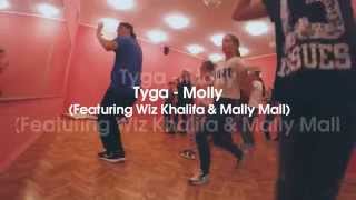 Tyga  Molly  Viacheslav Vlasylenko choreography [upl. by Arte]