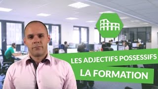 Les adjectifs possessifs  la formation  Italien [upl. by Ettezoj]