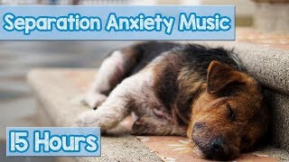 15 HOURS of Deep Separation Anxiety Music for Dog Relaxation Helped 4 Million Dogs Worldwide NEW [upl. by Reltuc458]