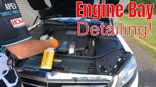 Engine Bay Detailing Complete Tutorial To DEEP CLEAN The Engine Compartment [upl. by Eelanna180]