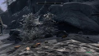 Skyrim Dawnstar chest glitch [upl. by Neelik]