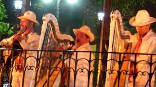 El Querreque con grupo jarocho en Coyoacán Ciudad de México [upl. by Brodench994]