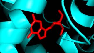 Herpes Thymidine Kinase Interaction with Acyclovir [upl. by Laved]