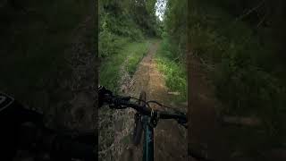 Exploring Kabankalan city natural mtb trails [upl. by Thorley]