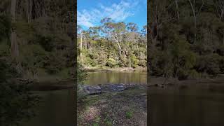 Warrandyte State Park  VIC Australia park lake river camping hike asmr relax outback [upl. by Florian]