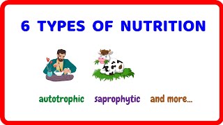 6 Types of Nutrition Autotrophic Holozoic Saprophytic [upl. by Chemaram]