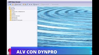 ALV con DYNPRO  BASICO [upl. by Pfosi]