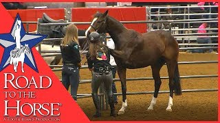 Road to the Horse 2017  Extra Footage  Vicki Wilson Clinic [upl. by Houghton]