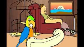 Parrot complains about TV Shows Actual voicemail animation [upl. by Lahcim]