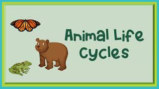 Animal Life Cycles [upl. by Mirak]