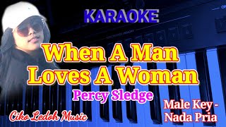 WHEN A MAN LOVES A WOMANPercy SledgeKARAOKEMale Key [upl. by Nyrhtac]