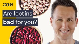 The surprising truth about lectins  Dr Will Bulsiewicz [upl. by Ellierim]