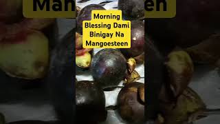 Highlights Mangosteen Fruitsfruits [upl. by Htrahddis]