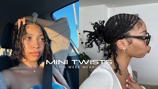 MINI TWISTS on Natural Hair  PROTECTIVE STYLE  Pria Symone [upl. by Notterb]