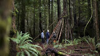 Expedition Bigfoot  S5 E7  Team Reunites To Compare And Analyse The Tree Structures HD 2024 [upl. by Aland]