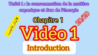 La consommation de la matière organique et le flux d’énergie [upl. by Kalin427]