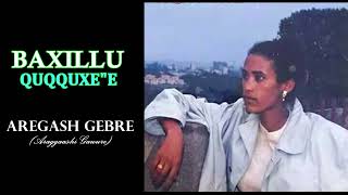 Baxillu Quqquxe Sidama music Aregash Gebre Lyrics video [upl. by Aseretairam]