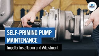 SelfPriming Pump Maintenance  Impeller Installation amp Adjustment [upl. by Lamar]