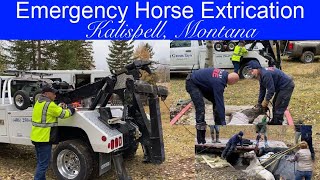 Emergency Horse Extrication [upl. by Geoff]