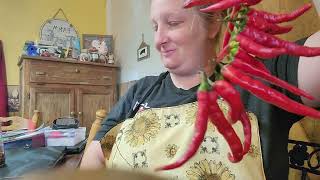 Stringing up cayenne peppers to dry [upl. by Enitsed]