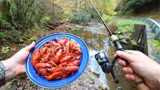 Fishing for Crawfish and Boiling Em in Butter [upl. by Eidoj]