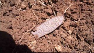 AngloSaxon Zoomorphic StrapEnd Metal Detecting Find [upl. by Violeta163]